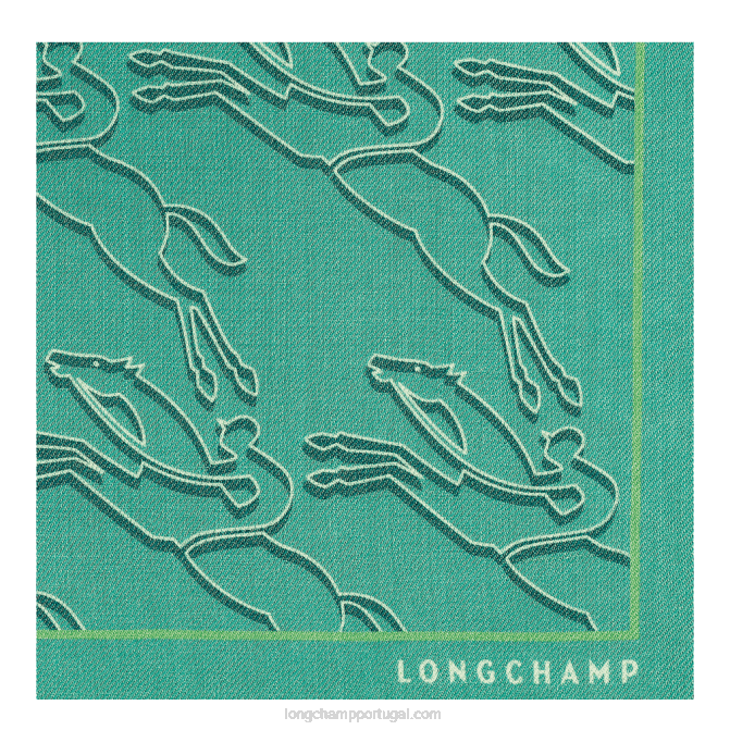 Longchamp 6DPZ988 luz verde mulheres estola coleção primavera/verão 2023