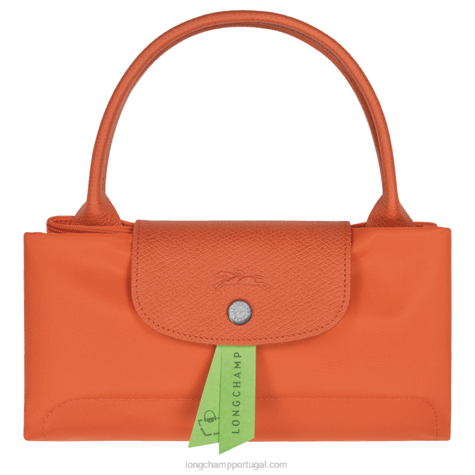 Longchamp 6DPZ196 carot mulheres bolsa verde le pliage m