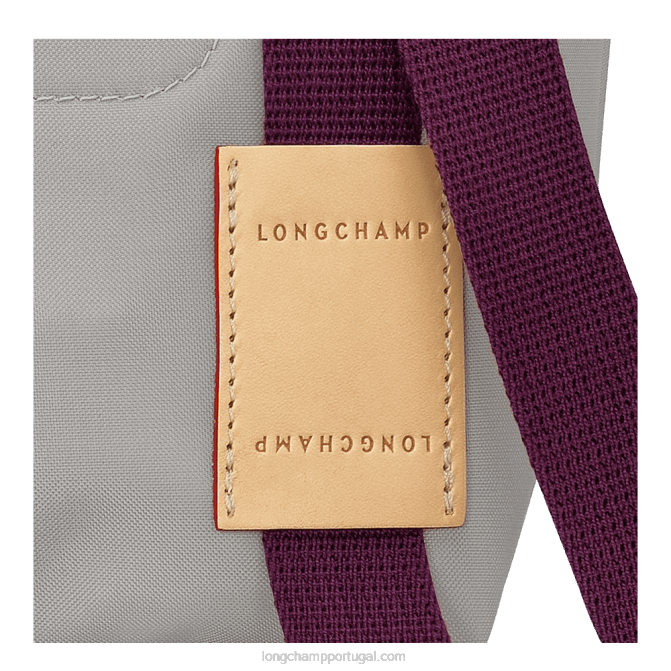 Longchamp 6DPZ43 cinza mulheres bolsa le pliage re play xs