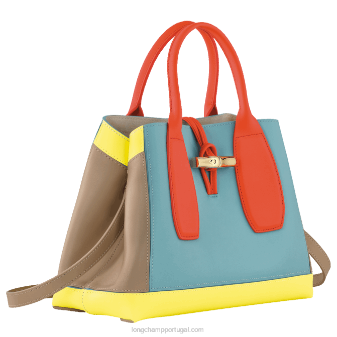 Longchamp 6DPZ96 multicolorido mulheres bolsa roseau m