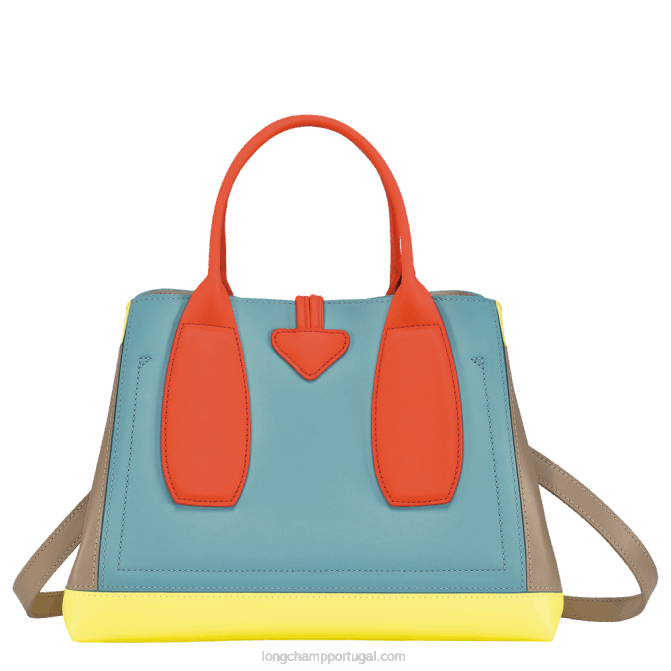 Longchamp 6DPZ96 multicolorido mulheres bolsa roseau m