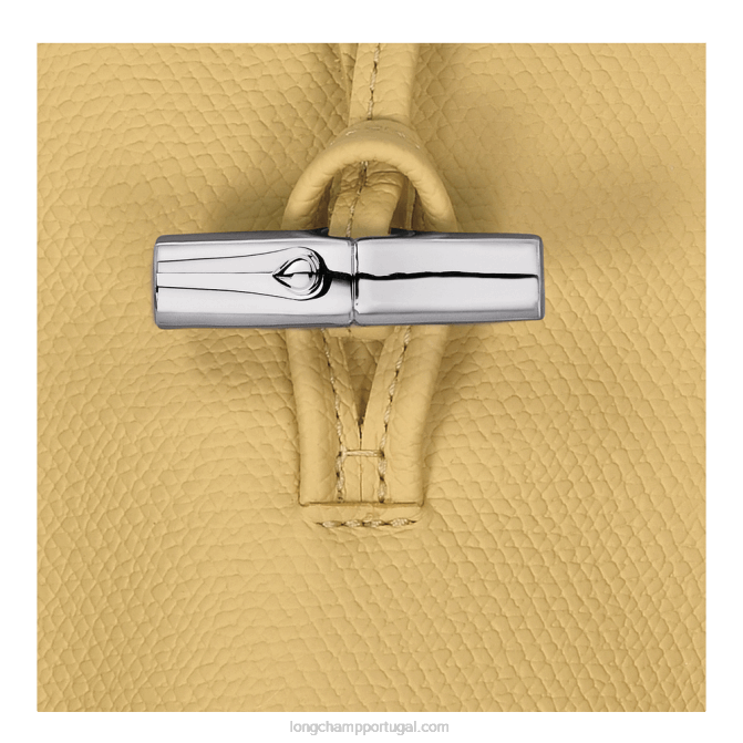 Longchamp 6DPZ685 milho mulheres capa de telefone roseau com renda